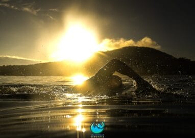 Nadador participa do Circuito Travessias Bombinhas